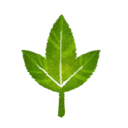 EquipmentIcon leaf.png