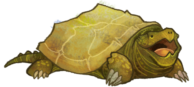 File:Animal snappingTurtle.png